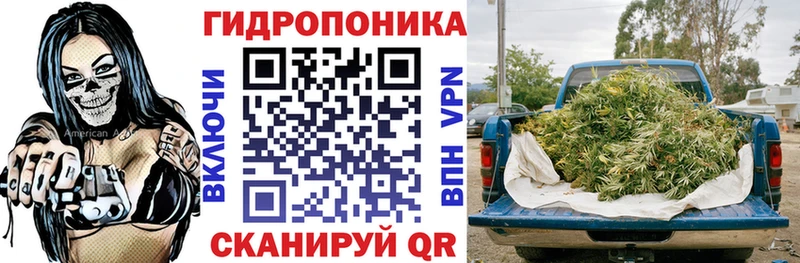 Шишки марихуана марихуана  ссылка на мегу сайт  Пионерский 